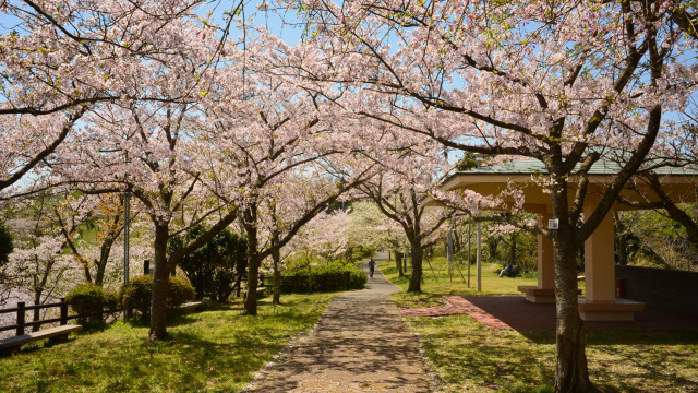 塚山公園